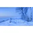 Snow panoramic Windows themes