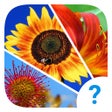 プログラムのアイコン：4 Clues: Word Search Game