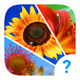 أيقونة البرنامج: 4 clues: word search game