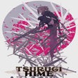 程序图标：Tsurugihime