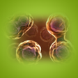 プログラムのアイコン：Cell Cycle