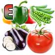 Programikonen: Learn Vegetables Name