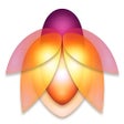 Icon of program: Flare