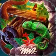 Hidden Objects Jungle Mystery  Find Object Games