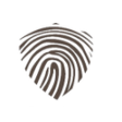 Icon of program: Eluvium