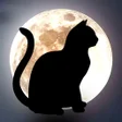 プログラムのアイコン：Divination: Horoscope Tar…