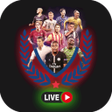Programikonen: Ver Partidos de Fútbol En…