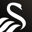 Programikonen: Swansea City