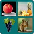 プログラムのアイコン：1 Pics 1 word Guess Top F…
