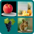 1 Pics 1 word Guess Top Fruits For Health