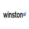 AI Detector for ChatGPT & more - Winston AI