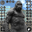 Ícone do programa: Gorilla vs King Kong 3D G…