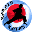 Shotokan & Shito-Ryu Karate Katas