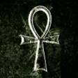 Icon of program: Fortune telling of the An…