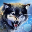 Ikon program: Wolf Target Shooting