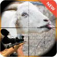 Crazy Goat Hunter 2017