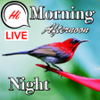 Icon of program: Good Morning Afternoon G…