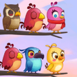 Icoon van programma: BirdSortMaster