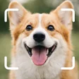 Programikonen: Dog Breed Scanner Dog Bre…