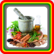 程序图标：traditional herbal medici…