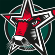 Programikonen: Starbulls Rosenheim