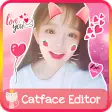 Cat Face Editor 365