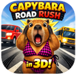 程序图标：Capybara Road Rush