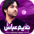 Programikonen: Nadeem Abbas
