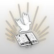 Icoon van programma: Llamada Final Phoenix