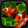 Ikona programu: Aquarium Dynamic Wallpape…