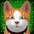 程序图标：Stray Cat Adventure Simul…