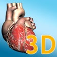 Ícone do programa: Explore the Heart in 3d