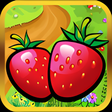 プログラムのアイコン：Fruit Book