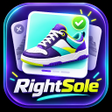 Programikonen: RightSole