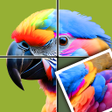 Icoon van programma: Jigpuzzle AMSR
