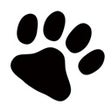 Icoon van programma: XPawPad