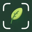 Plant Identifier: Plant Care