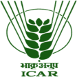 ICAR Technologies