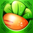 程序图标：CarrotFantasy