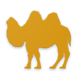 Programikonen: Camel German Learn German