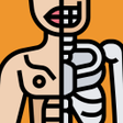 Ícone do programa: Anatomania - Quiz de Anat…