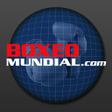プログラムのアイコン：BoxeoMundial