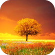 Иконка программы: Awesome-Land Pro Live wal…