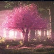 Icon of program: Cherry Blossom Tree: Beau…