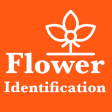 Flower Identification  Garden