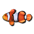 Symbol des Programms: Aquazone Seven Seas Delux…
