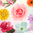 Icon of program: Stamp Pack: Flowers