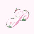 Иконка программы: PINK Nation