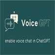 Иконка программы: VoiceGPT