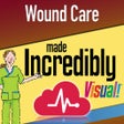 Иконка программы: Wound Care MI Visual
